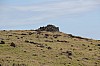 4190.jpg 4190.jpg