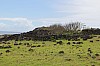 4198.jpg 4198.jpg