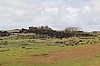 4213.jpg 4213.jpg