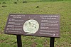 4220.jpg 4220.jpg