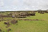 4223.jpg 4223.jpg