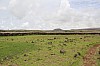 4228.jpg 4228.jpg