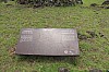 4229.jpg 4229.jpg