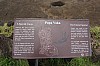 4236.jpg 4236.jpg