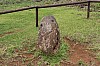 4245.jpg 4245.jpg