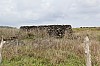 4246.jpg 4246.jpg