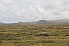 4269.jpg 4269.jpg