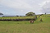 4306.jpg 4306.jpg