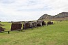 4309.jpg 4309.jpg