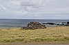 4351.jpg 4351.jpg