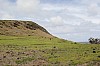 4361.jpg 4361.jpg