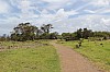 4364.jpg 4364.jpg
