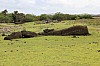 4367.jpg 4367.jpg