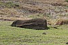 4372.jpg 4372.jpg