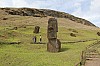4379.jpg 4379.jpg