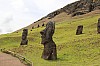 4415.jpg 4415.jpg