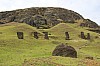 4417.jpg 4417.jpg
