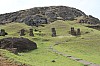 4419.jpg 4419.jpg