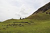 4422.jpg 4422.jpg