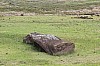 4424.jpg 4424.jpg