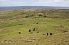 4445.jpg 4445.jpg