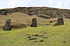 4461.jpg 4461.jpg