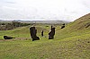 4462.jpg 4462.jpg