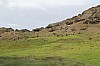 4482.jpg 4482.jpg