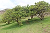 4483.jpg 4483.jpg
