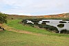 4484.jpg 4484.jpg