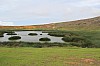 4486.jpg 4486.jpg