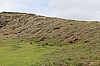 4490.jpg 4490.jpg