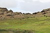 4492.jpg 4492.jpg