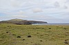 4499.jpg 4499.jpg