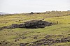 4568.jpg 4568.jpg