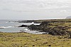 4570.jpg 4570.jpg