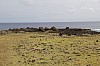 4573.jpg 4573.jpg