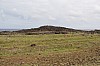 4591.jpg 4591.jpg