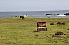 4613.jpg 4613.jpg