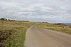4627.jpg 4627.jpg
