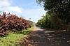 3513.jpg 3513.jpg