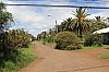 3517.jpg 3517.jpg