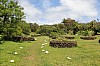 3551.jpg 3551.jpg