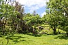 3553.jpg 3553.jpg