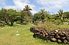 3557.jpg 3557.jpg