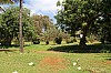 3558.jpg 3558.jpg