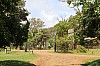 3560.jpg 3560.jpg