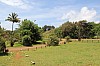 3564.jpg 3564.jpg
