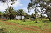 3565.jpg 3565.jpg