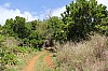 3568.jpg 3568.jpg